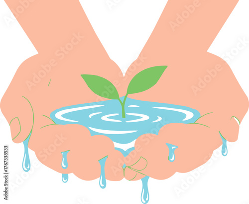 Cupped hands gently holding water with a seedling growing within.