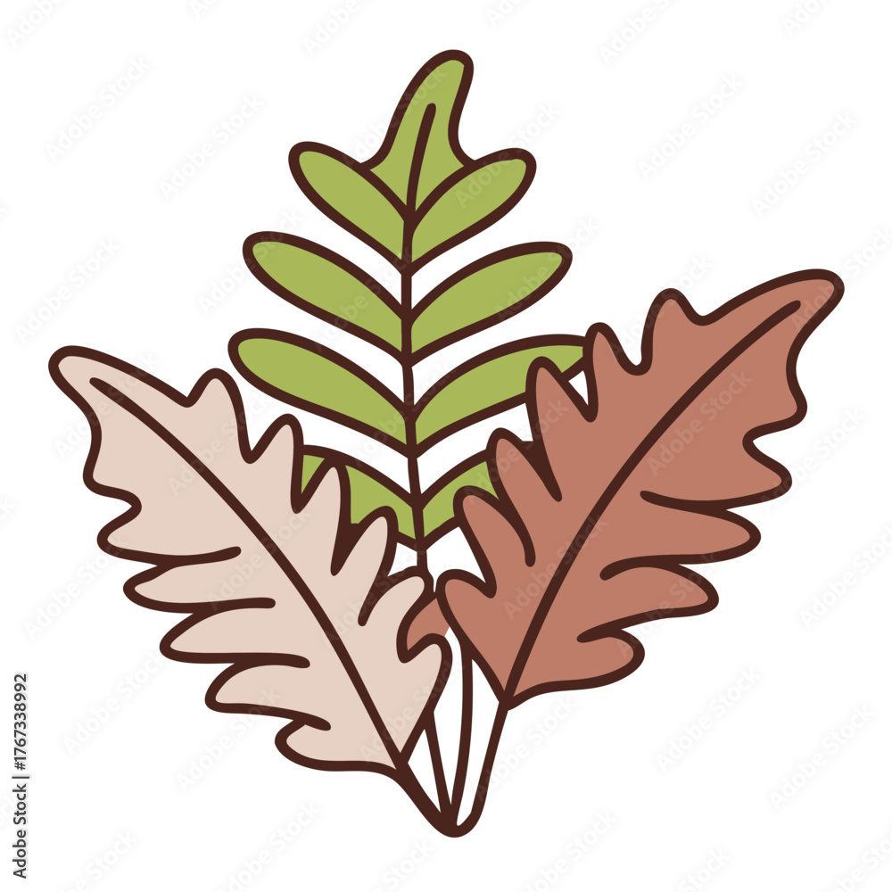 Fototapeta premium Colorful fern leaves in various shapes