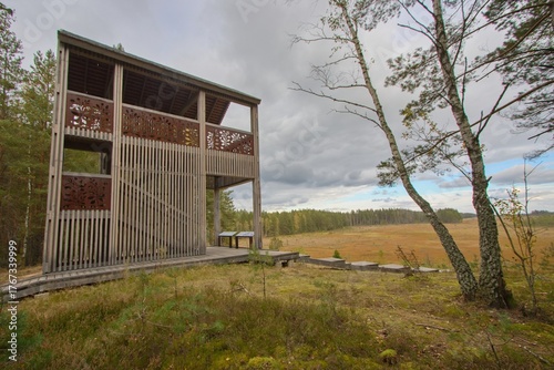 Observation tower at Čepkelių peat bog in Dzukija National Park, Lithuania