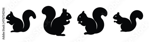 Four silhouette squirrels poses natural habitats wildlife forest animals