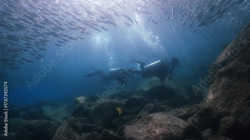 A massive school of sardines pulsed and shimmered as it moved. cinematic slow motion 4k high resolution