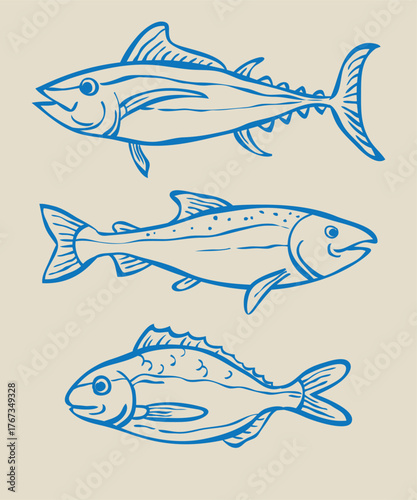 Vector fish illustration, line drawing
