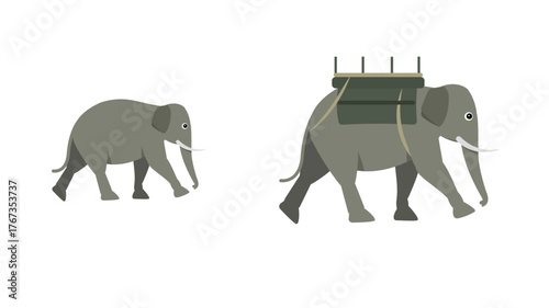 Asian elephant kaziranga, nameri national park