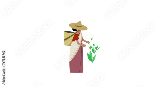 Assam tea harvester adivasi women 