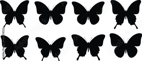 Butterfly silhouettes, insect wings, black vector, species variation, nature icon, entomology design, flying insect, symmetrical shape, isolated illustration, bug anatomy
