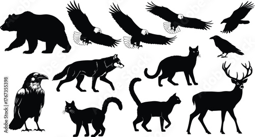 Wild animal silhouettes, bear, eagle, raven, wolf, deer, cat, predator and prey, black vector, wildlife shapes, nature illustration, isolated icons