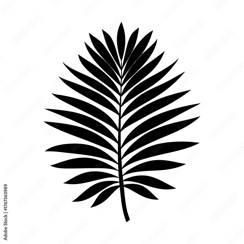 Fototapeta premium Black silhouette of a palm leaf on a white background