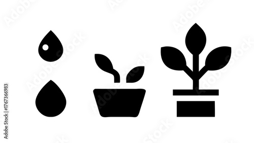 Vector art of growth stages water drop, seedling, and plant in a pot are depicted as black vector icons, illustrating the process of plant growth in a minimalist style