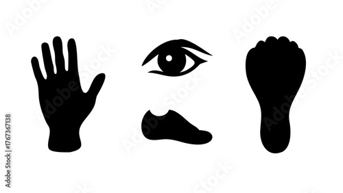 Vector art of human body parts a symbolic representation of hand, eye, foot, and shoe, essential elements of human anatomy and experience