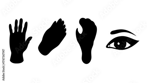 Vector art of a captivating composition featuring a hand, two feet, and an eye, creating a thoughtprovoking visual narrative that explores themes of human anatomy and perception