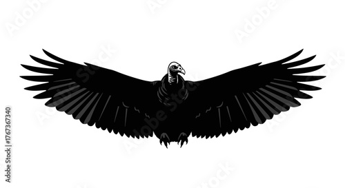 A black vulture soars with outstretched wings against a white background.