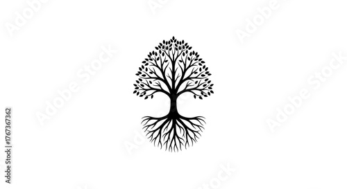 A stylized tree with intricate roots and branches against a white background.