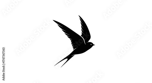 A silhouette of a swallow bird flying against a white background.