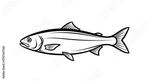 An illustration of a single fish swimming in a white background.