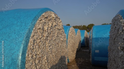Large Blue-Wrapped Cotton Bales in the Field