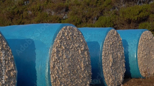 Large Blue-Wrapped Cotton Bales in the Field