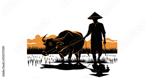 Silhouette of a farmer with buffalo in the field at sunset illustrates rural life and traditional