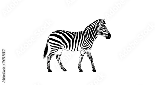 A full-body illustration of a zebra standing in profile against a pure white background, showcasing its iconic black and white stripes.