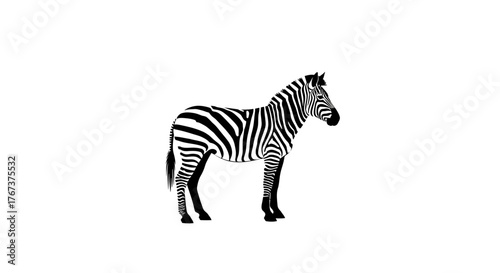 A striking black and white illustration of a zebra standing proudly against a clean white background, showcasing its distinctive striped pattern.
