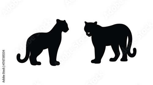Majestic black cougar silhouettes standing together facing each other