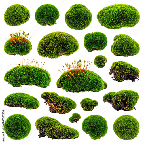 A collection of various isolated green moss formations, shapes, and textures, set against black