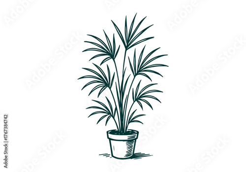 Potted Plant hand drawn simple sketch vector illustration