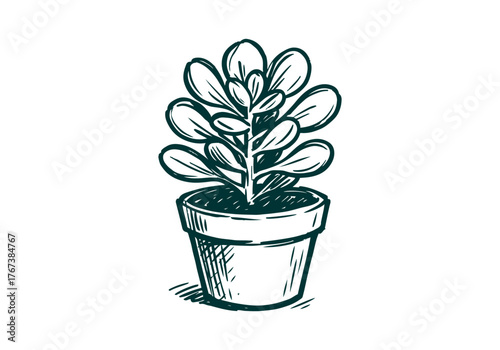 Potted Plant hand drawn simple sketch vector illustration