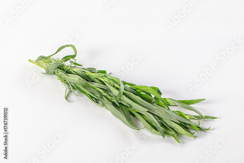 Fototapete Fresh green estragon aroma stem