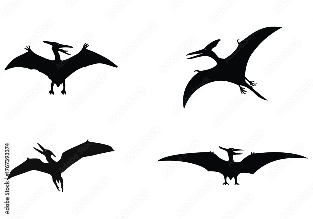 Naklejka premium Pterodactyl Dinosaur Silhouette set