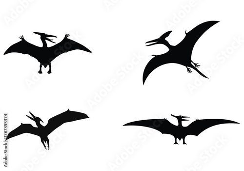 Pterodactyl Dinosaur Silhouette set