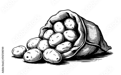 a burlap sack filled with potatoes, some spilling out, symbolizing harvest, farming, and organic produce.