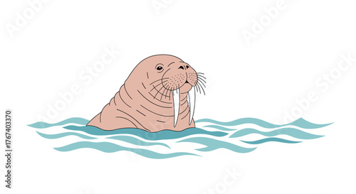 A cute cartoon walrus with tusks emerges from stylized blue ocean waves.