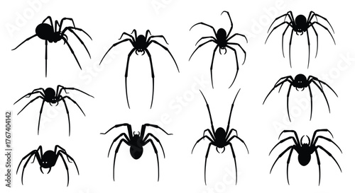 Collection of silhouette illustrations of various spiders on a white background.