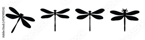 Collectionoffoursilhouetteddragonfliesfeaturingvariedposesandwingstructurescapturedinasingleframe