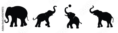 Collectionoffourblacksilhouetteelephantsengaginginplayfulandperformanceactivitiestogether
