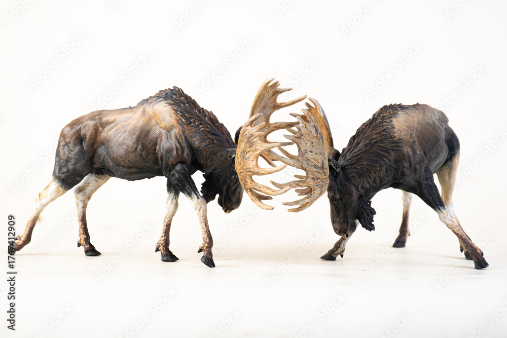 Fototapeta premium reindeer animal on isolated background