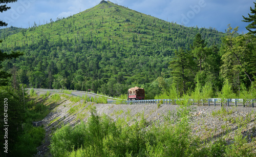 A logging truck road among the green mountains