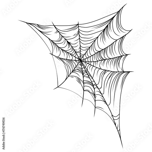 Triangular Corner Spider Web With Curved Lines Detailed Black Vector Illustration On White Background