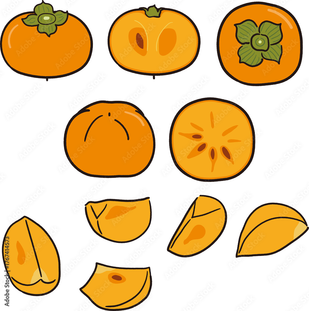 Fototapeta premium 手描き風 柿の実、断面、カット