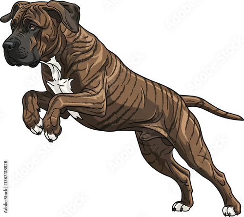 fila brasileiro dog jumping athletic pose vector illustration