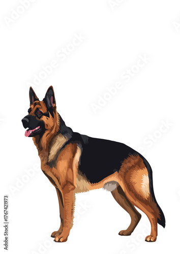 dog vector A vector illustration depicts a German Shepherd dog standing in a natural, alert pose, suitable for stock imagery. Its black and tan coat is well-defined, showcasing breed characteristics.