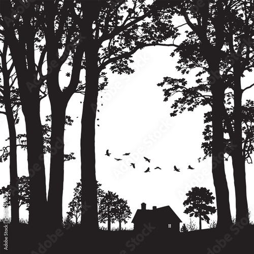 Silhouette Woods Forest Wildlife Cabin House Tree Branches Dark Scenery Vector