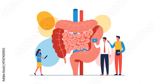 Digestive System Anatomy Medical Illustration with Doctors Examining Intestines.