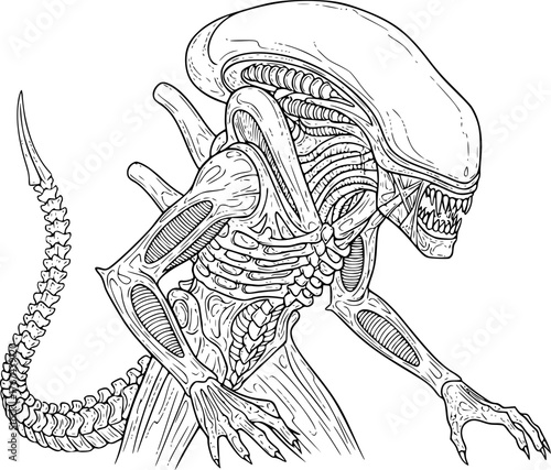 Alien xenomorph drawing. It is a black and white outline image of a xenomorph alien, a terrifying sci-fi creature from popular culture. Vector sketch line art draw