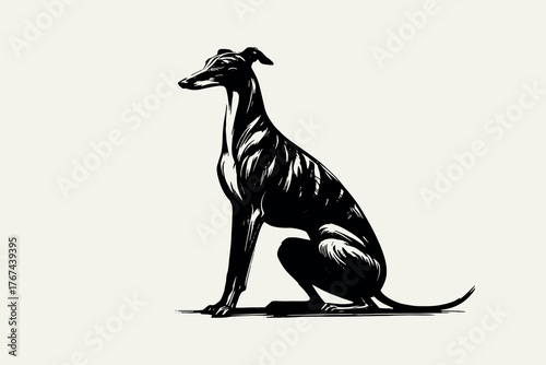 Greyhound sitting bold black ink dog illustration vector