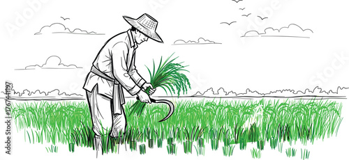 Farmer harvesting rice in the field illustration, agriculture sketch, rural life artwork, traditional farming scene, countryside drawing, green rice crop