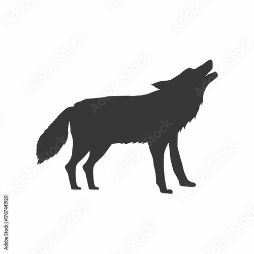 wolf vector illustration
