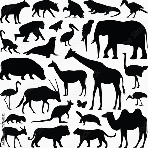 Photography wild animals silhouettes