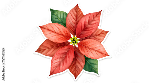 Vibrant Red Poinsettia Flower Isolated on White Background,  Traditional Christmas Plant Symbolizing Holiday Joy