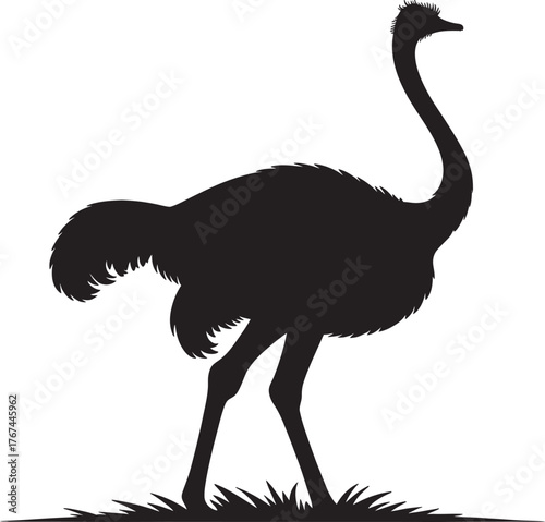 black ostrich silhouette standing on grass isolated on white background, stylized vector for wildlife and nature themes